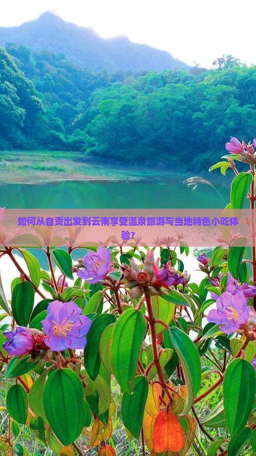 如何从自贡出发到云南享受温泉旅游与当地特色小吃体验？