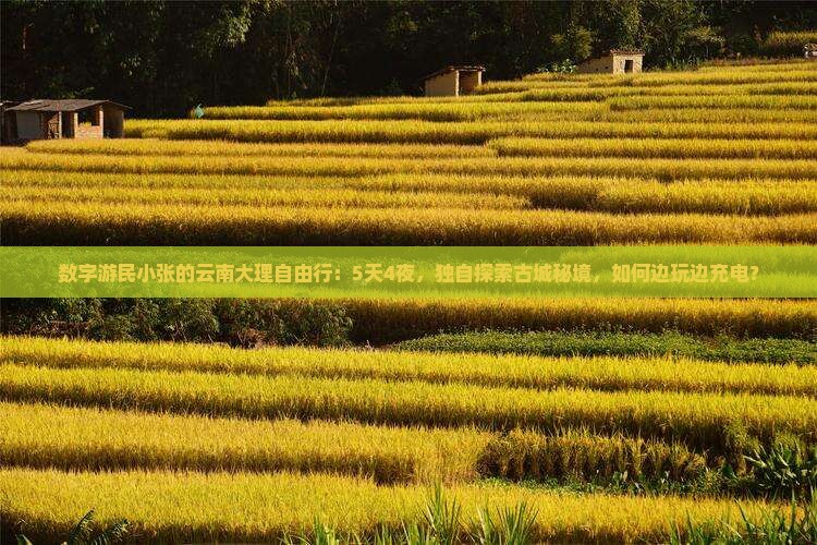 数字游民小张的云南大理自由行：5天4夜，独自探索古城秘境，如何边玩边充电？