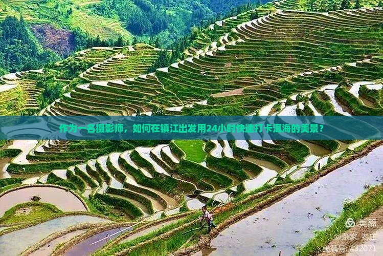 作为一名摄影师，如何在镇江出发用24小时快速打卡洱海的美景？