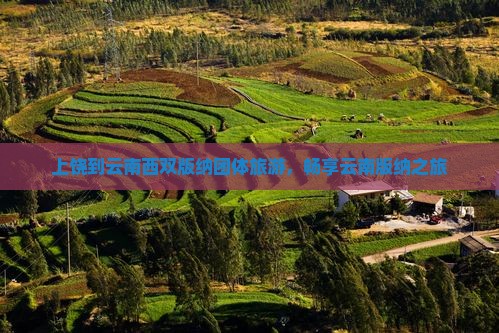 上饶到云南西双版纳团体旅游，畅享云南版纳之旅