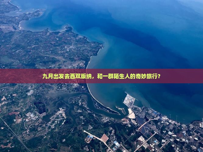 九月出发去西双版纳，和一群陌生人的奇妙旅行？