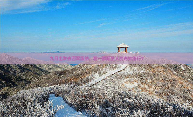 九月出发去西双版纳，和一群陌生人的奇妙旅行？