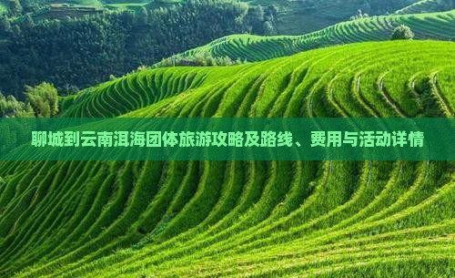 聊城到云南洱海团体旅游攻略及路线、费用与活动详情