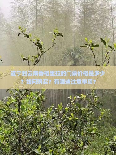遂宁到云南香格里拉的门票价格是多少？如何购买？有哪些注意事项？