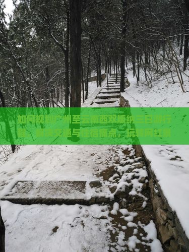 如何规划广州至云南西双版纳三日游行程，解决交通与住宿痛点，玩转网红景点？