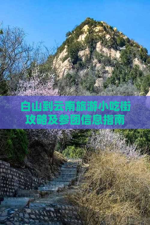 白山到云南旅游小吃街攻略及参团信息指南