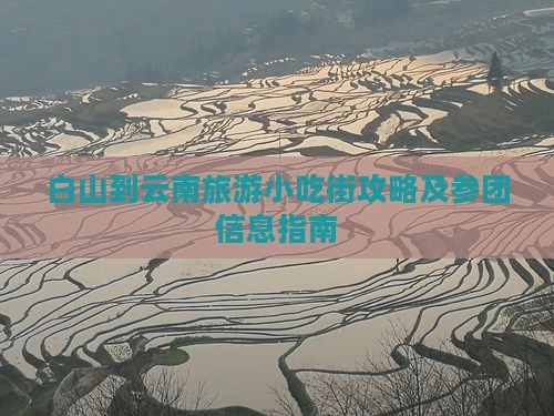 白山到云南旅游小吃街攻略及参团信息指南