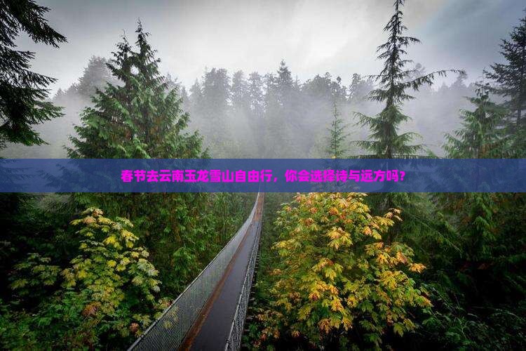 春节去云南玉龙雪山自由行，你会选择诗与远方吗？
