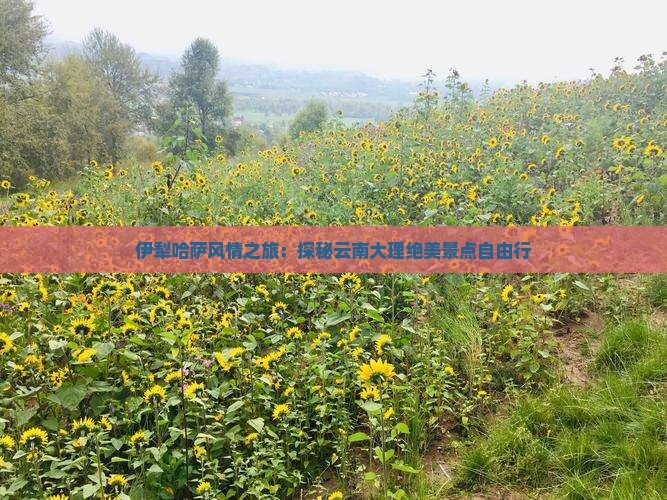 伊犁哈萨风情之旅：探秘云南大理绝美景点自由行