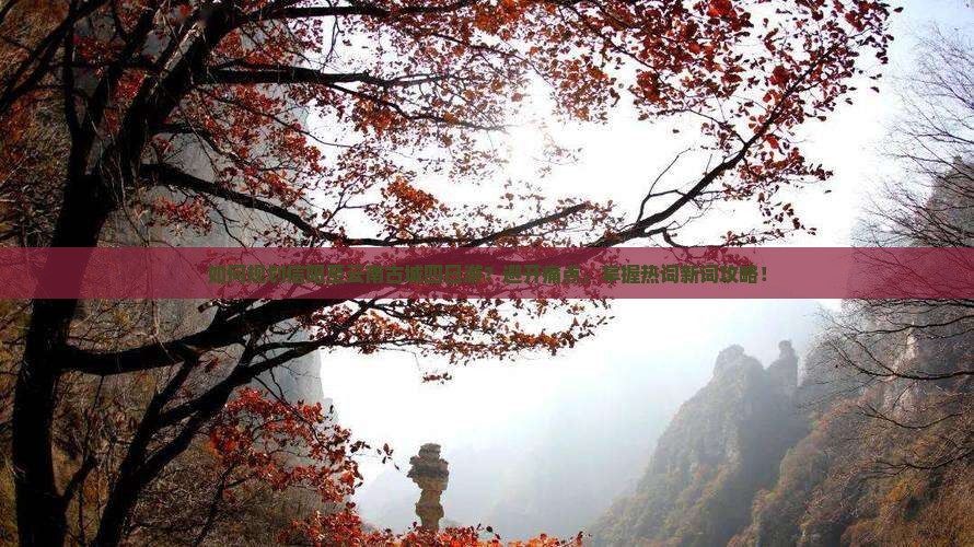 如何规划信阳至云南古城四日游？避开痛点，掌握热词新词攻略！