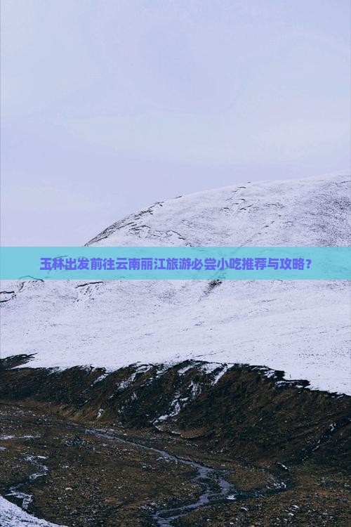 玉林出发前往云南丽江旅游必尝小吃推荐与攻略？