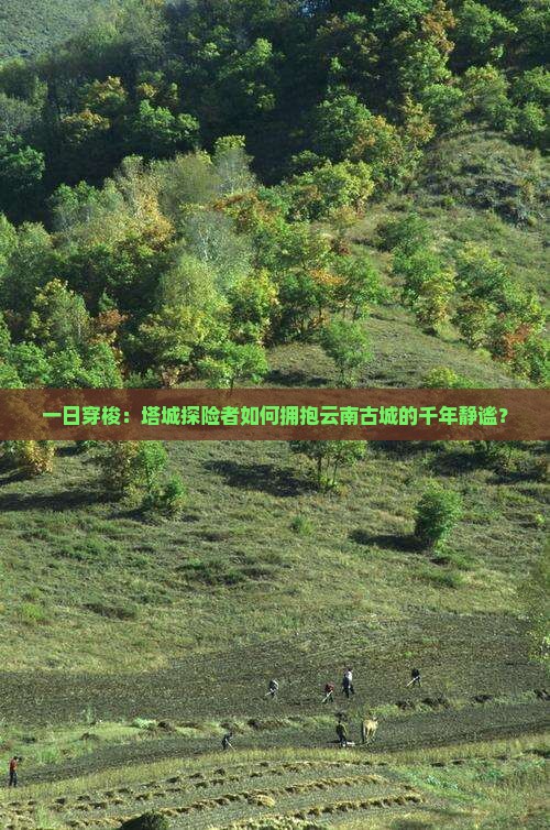 一日穿梭：塔城探险者如何拥抱云南古城的千年静谧？