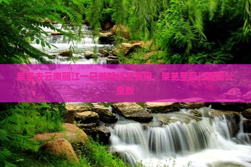 莱芜去云南丽江一日游路线及费用，莱芜至丽江距离公里数