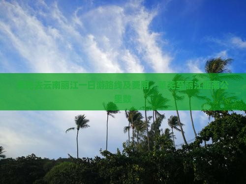 莱芜去云南丽江一日游路线及费用，莱芜至丽江距离公里数