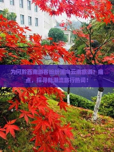 为何黔西南游客纷纷涌向云南旅游？痛点，探寻新潮流旅行热词！