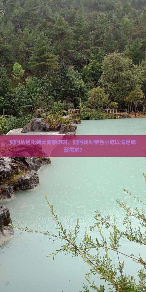 如何从通化到云南旅游时，如何找到特色小吃以满足味蕾需求？