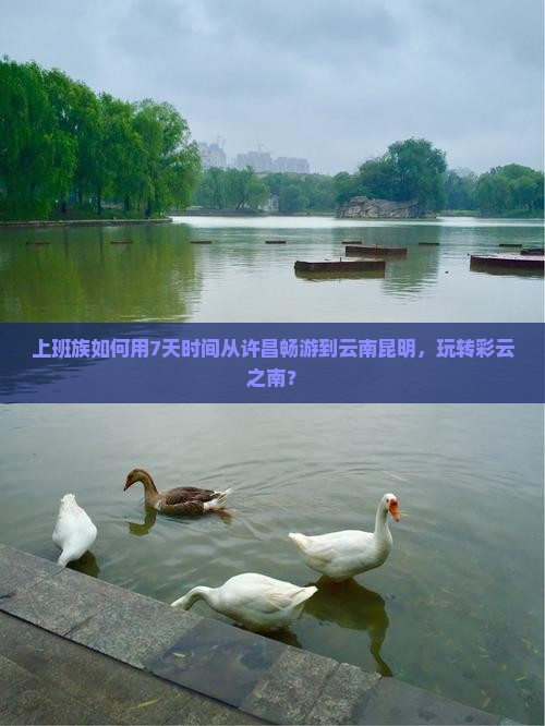 上班族如何用7天时间从许昌畅游到云南昆明，玩转彩云之南？
