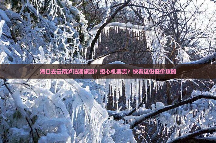 海口去云南泸沽湖旅游？担心机票贵？快看这份低价攻略