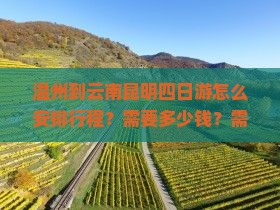 温州到云南昆明四日游怎么安排行程？需要多少钱？需要注意什么？