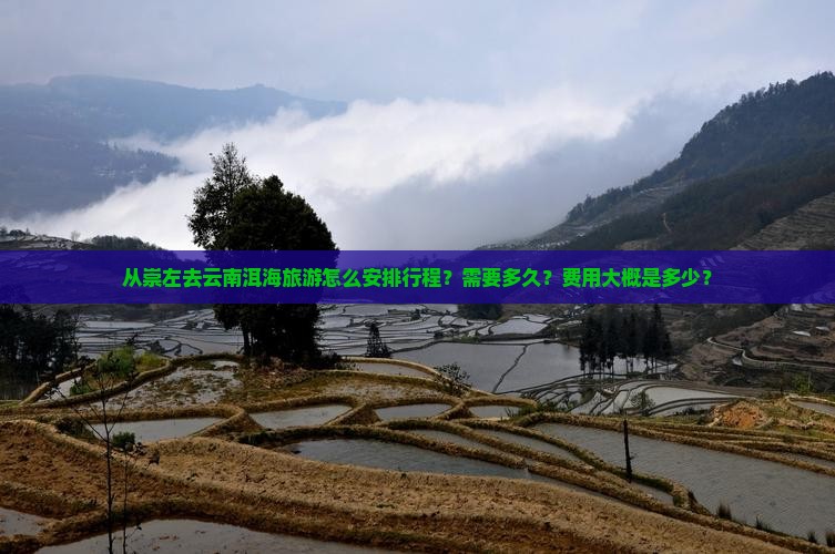 从崇左去云南洱海旅游怎么安排行程？需要多久？费用大概是多少？