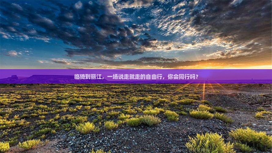 临猗到丽江，一场说走就走的自由行，你会同行吗？