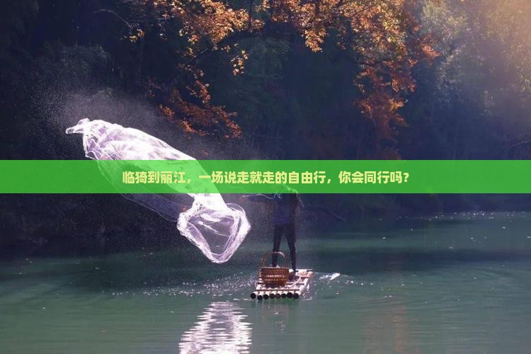 临猗到丽江，一场说走就走的自由行，你会同行吗？