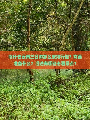 喀什去云南三日游怎么安排行程？需要准备什么？沿途有哪些必看景点？