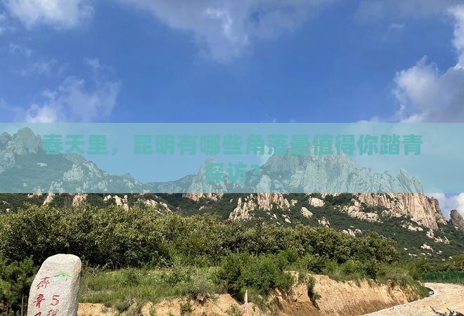 春天里，昆明有哪些角落最值得你踏青探访？