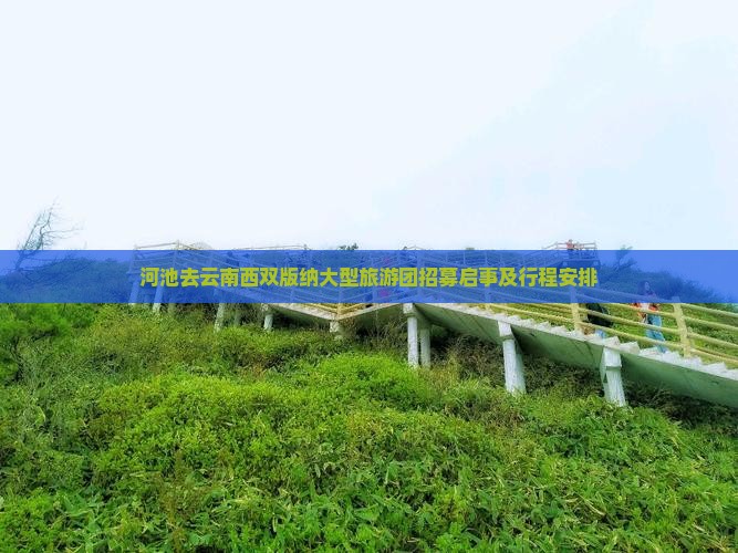 河池去云南西双版纳大型旅游团招募启事及行程安排