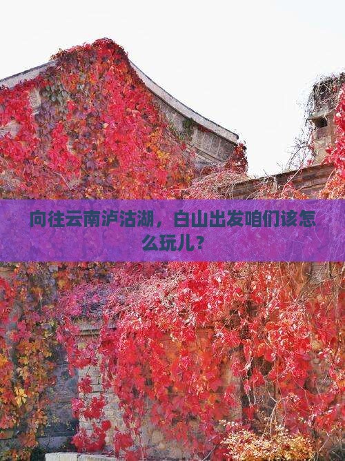 向往云南泸沽湖，白山出发咱们该怎么玩儿？