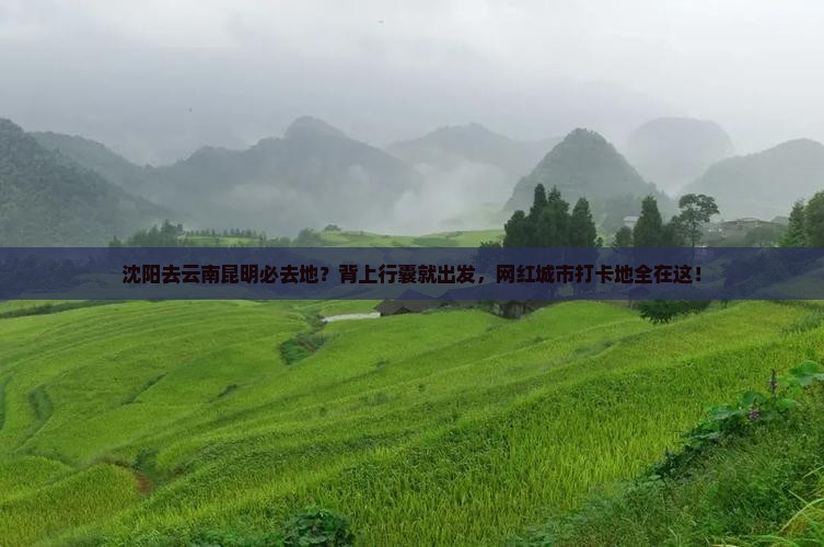 沈阳去云南昆明必去地？背上行囊就出发，网红城市打卡地全在这！