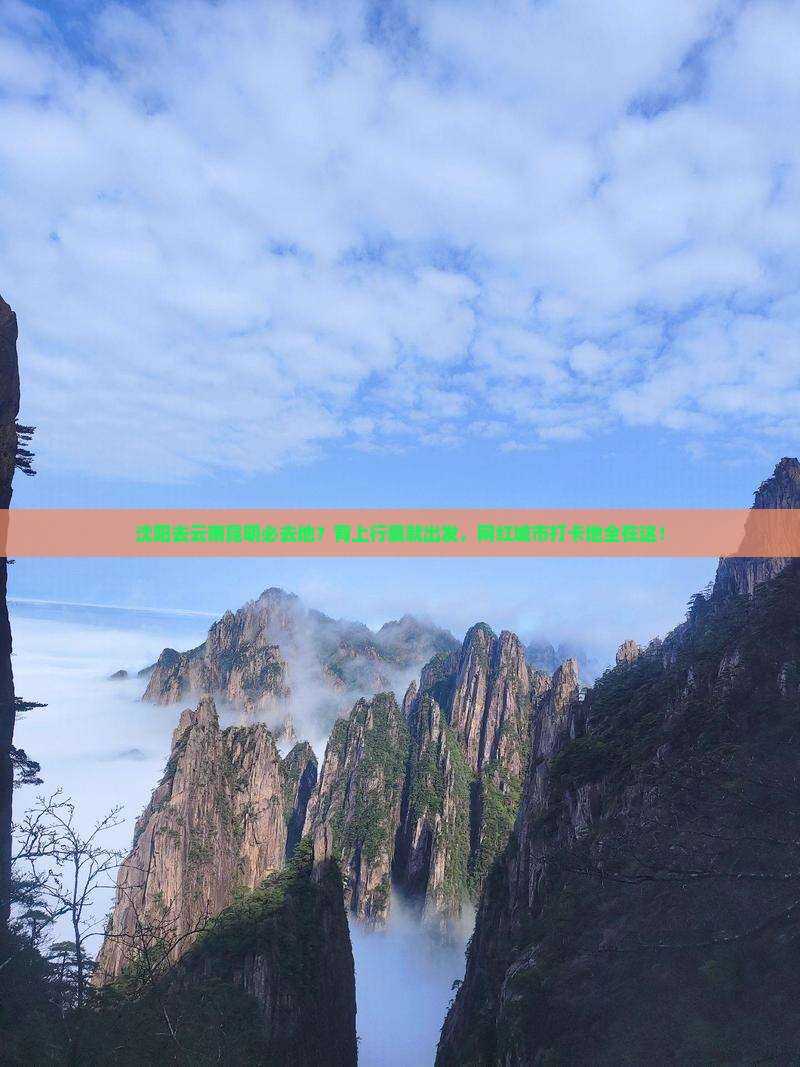 沈阳去云南昆明必去地？背上行囊就出发，网红城市打卡地全在这！