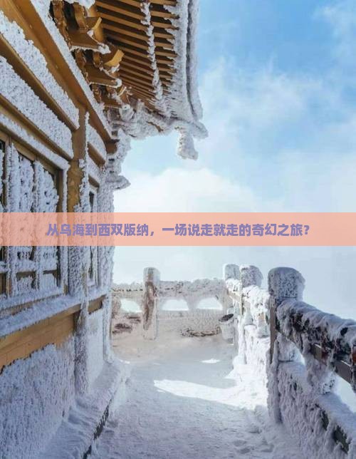 从乌海到西双版纳，一场说走就走的奇幻之旅？