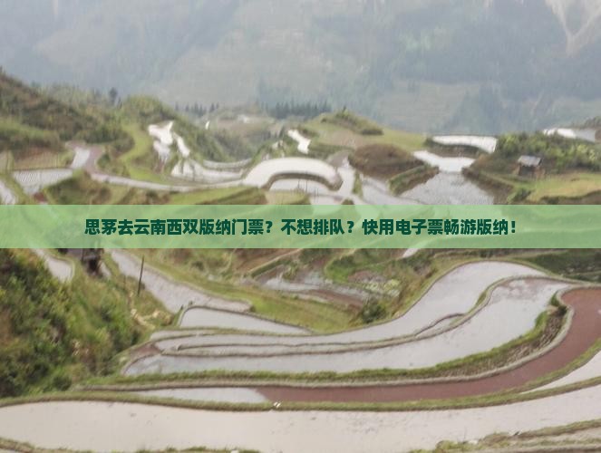 思茅去云南西双版纳门票？不想排队？快用电子票畅游版纳！