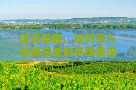 探访楚雄，如何深入云南古城的灵魂角落？