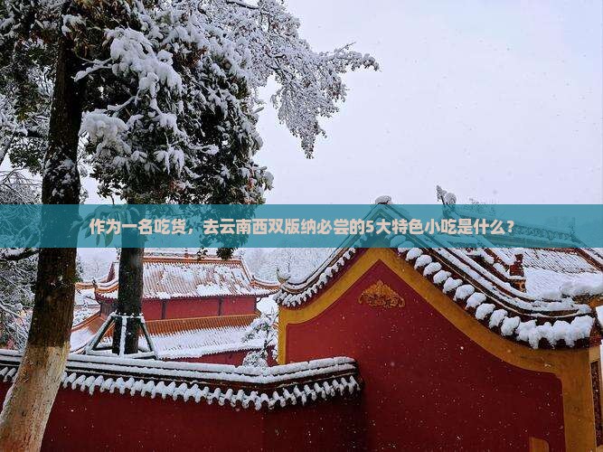 作为一名吃货，去云南西双版纳必尝的5大特色小吃是什么？