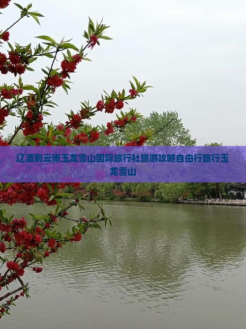 辽源到云南玉龙雪山国际旅行社旅游攻略自由行旅行玉龙雪山
