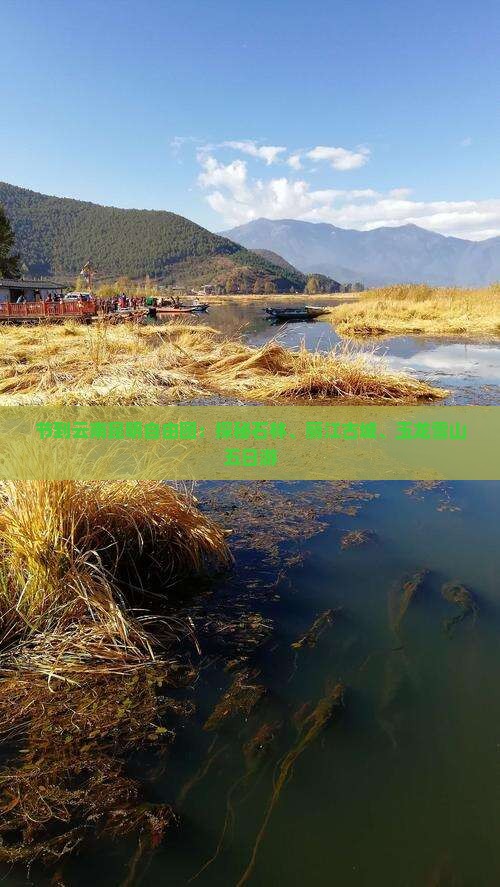 节到云南昆明自由团：探秘石林、丽江古城、玉龙雪山五日游