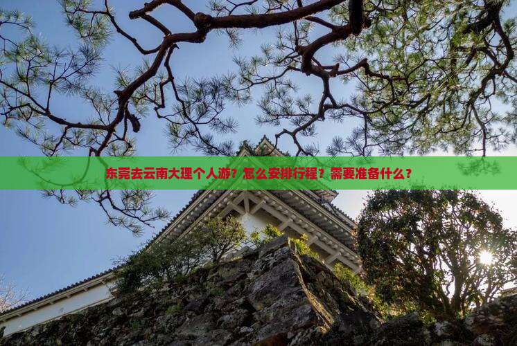 东莞去云南大理个人游？怎么安排行程？需要准备什么？
