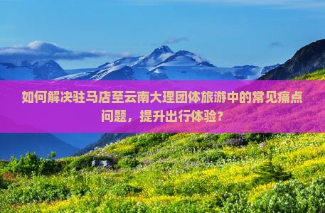 如何解决驻马店至云南大理团体旅游中的常见痛点问题，提升出行体验？