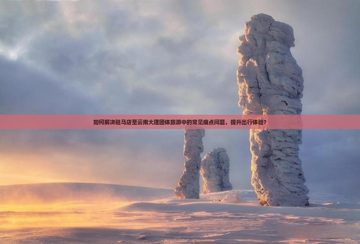 如何解决驻马店至云南大理团体旅游中的常见痛点问题，提升出行体验？
