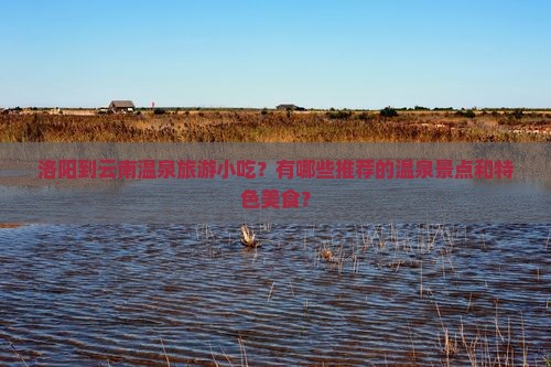 洛阳到云南温泉旅游小吃？有哪些推荐的温泉景点和特色美食？