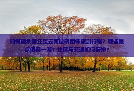 如何规划宿迁至云南昆明团体旅游行程？哪些景点值得一游？住宿与交通如何安排？