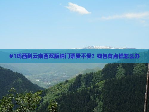 #1鸡西到云南西双版纳门票贵不贵？钱包有点慌怎么办
