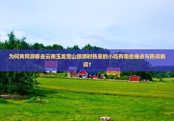 为何黄冈游客去云南玉龙雪山旅游时热衷的小吃有哪些痛点与热词新词？