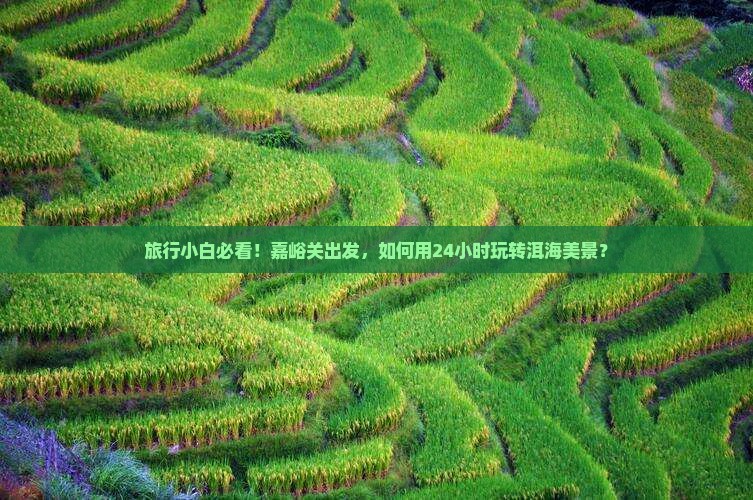 旅行小白必看！嘉峪关出发，如何用24小时玩转洱海美景？