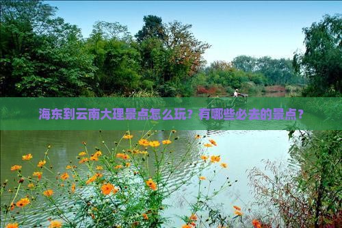 海东到云南大理景点怎么玩？有哪些必去的景点？