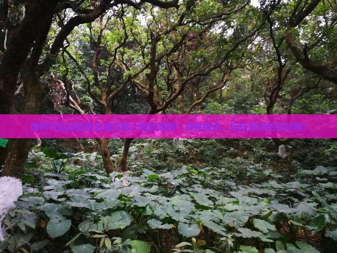 如何打造汕尾至云南古城大型旅游团？游客痛点，玩转新词热词攻略！
