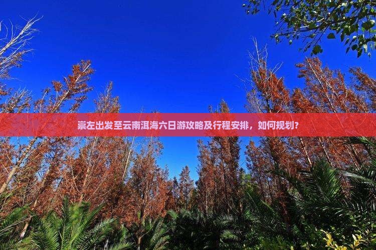 崇左出发至云南洱海六日游攻略及行程安排，如何规划？