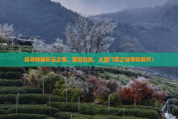探寻神秘彩云之南，莆田出发，大理门票之谜等你解开！